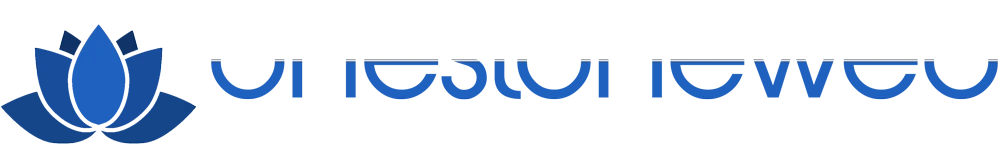One Stone Web Logo